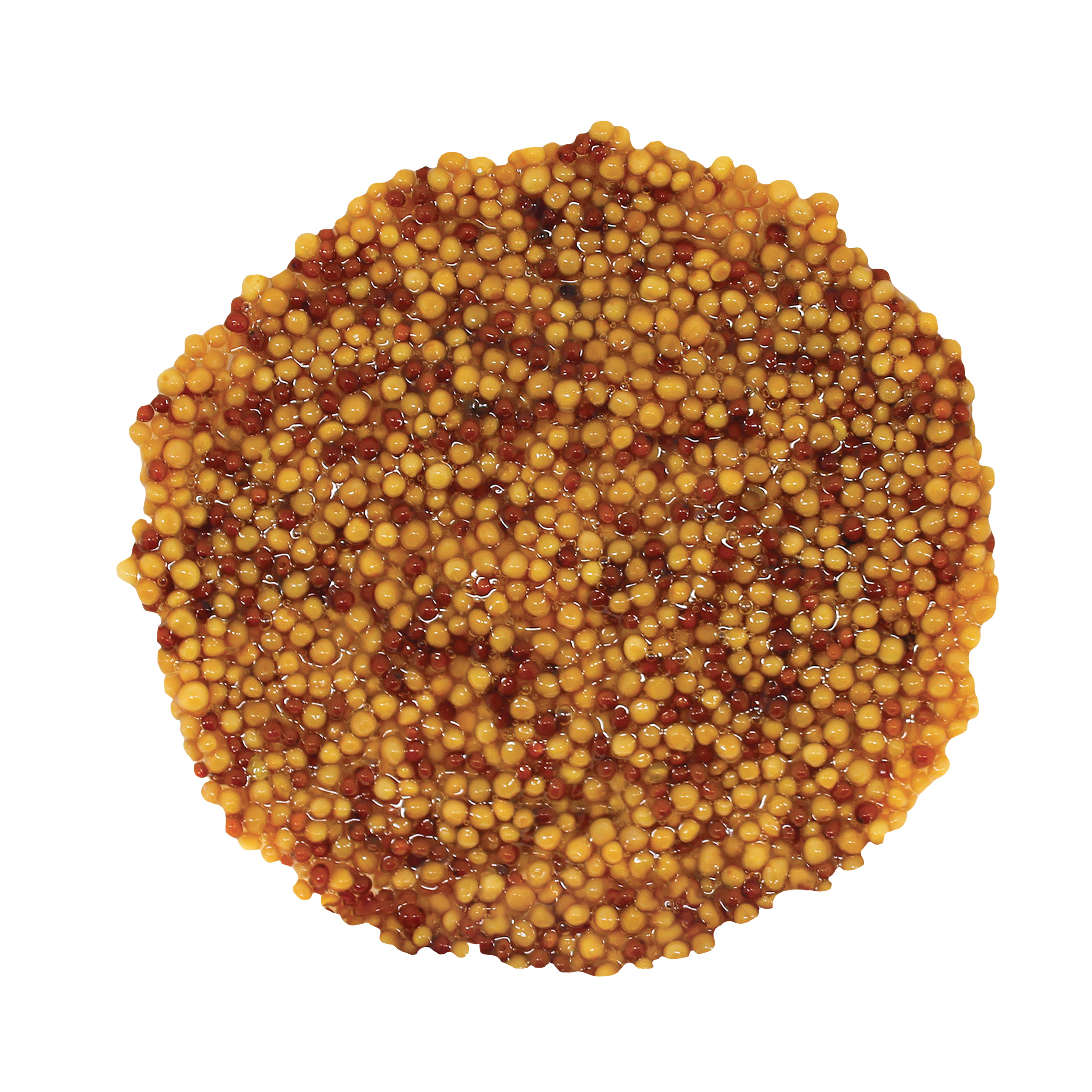 겨자씨가 입안에서 톡톡터지는 홀그레인머스타드1kg