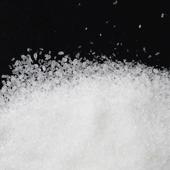 알룰로스파우더 1kg