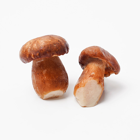 냉동포치니버섯-루마니아산