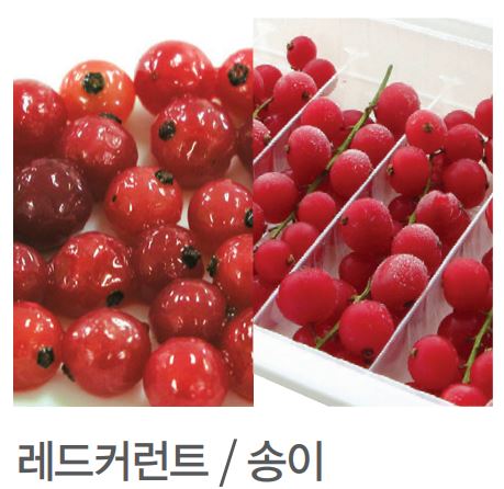 냉동레드커런트송이 125g